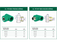 TÊ REN TRONG ĐỒNG - TÊ 90 ĐỘ REN NGOÀI ĐỒNG