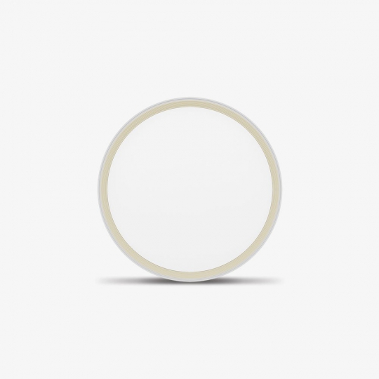 Đèn LED ốp trần thông minh LN28 bluetooth 400/40W